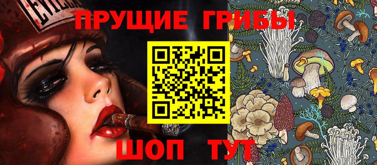 Галлюциногенные грибы Psilocybine cubensis Ивантеевка