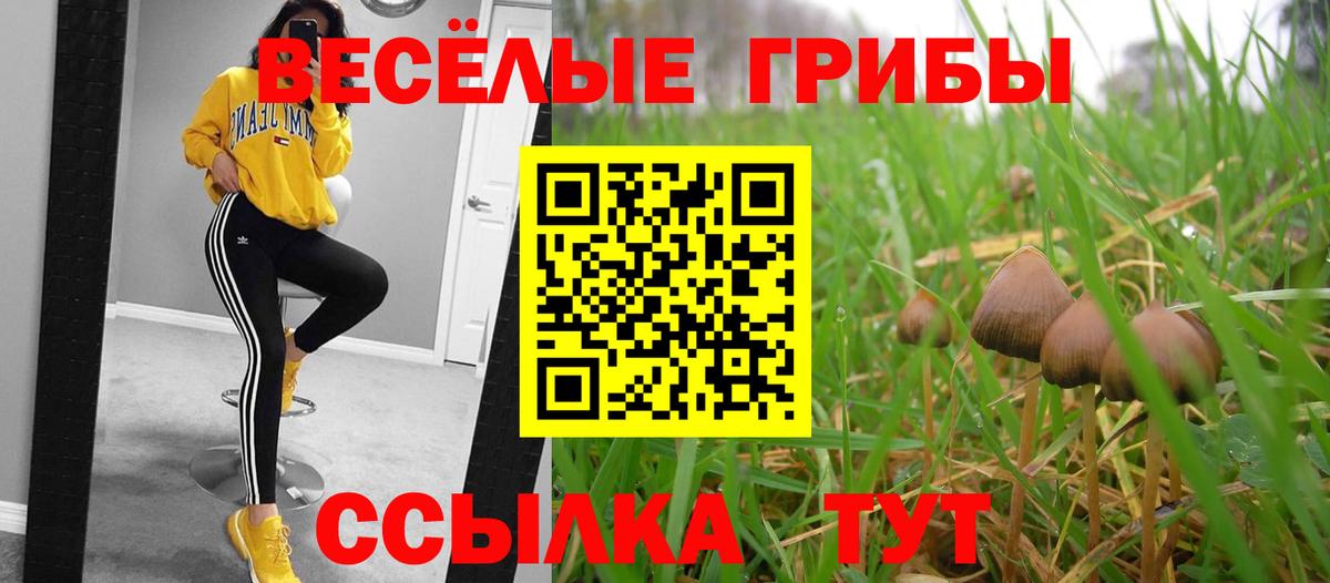 магазин  наркотиков  Вход с VPN  Ивантеевка  Псилоцибиновые грибы Psilocybe 
